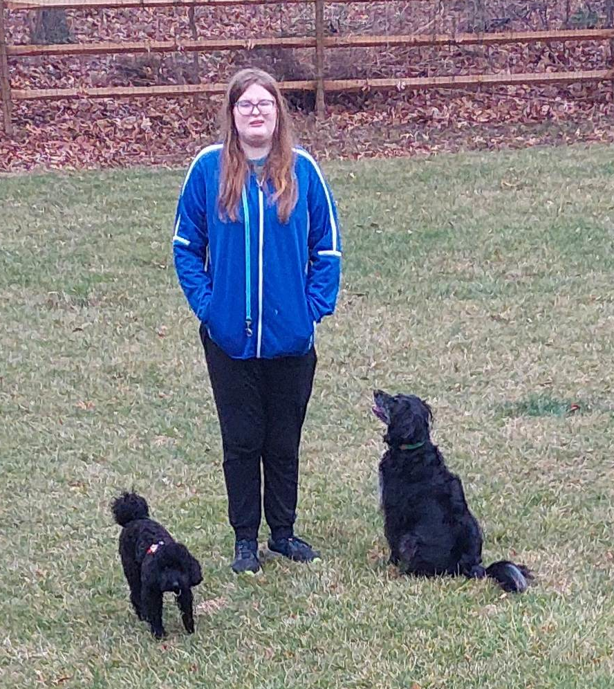Dogs in the park